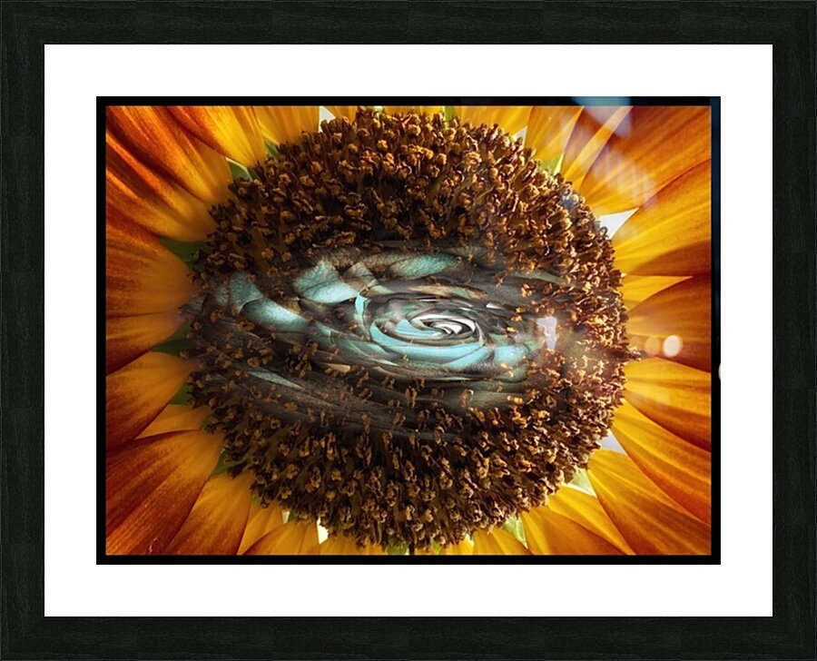 V1457 Picture Frame print