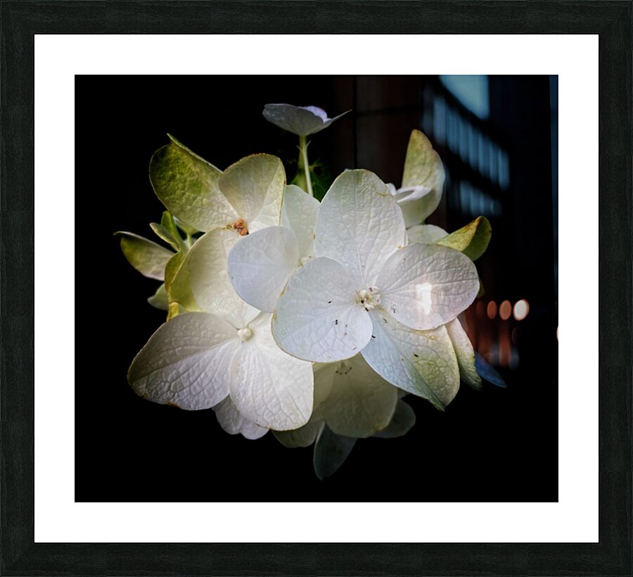 V1458 Picture Frame print