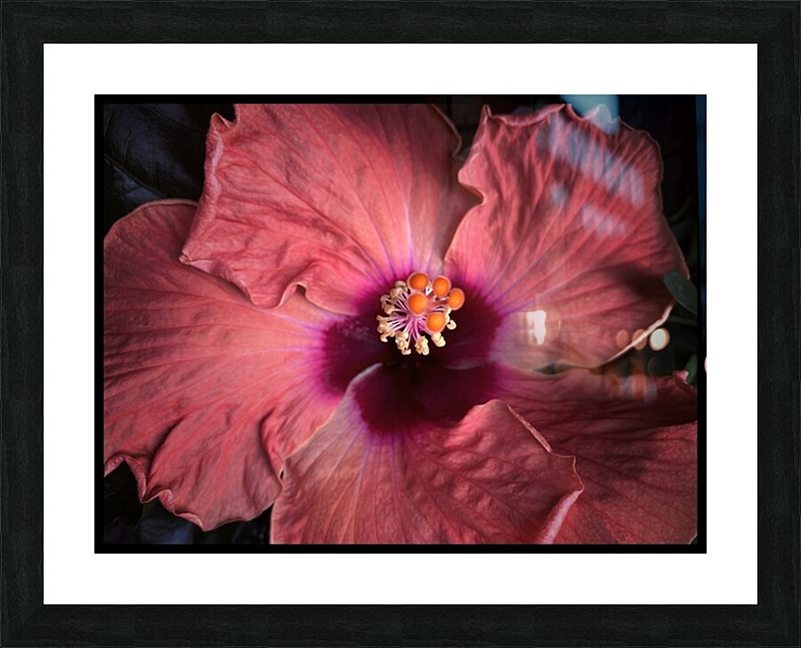 V1459 Picture Frame print