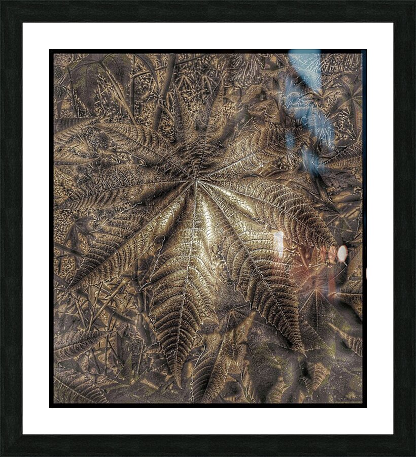 V1475 Picture Frame print