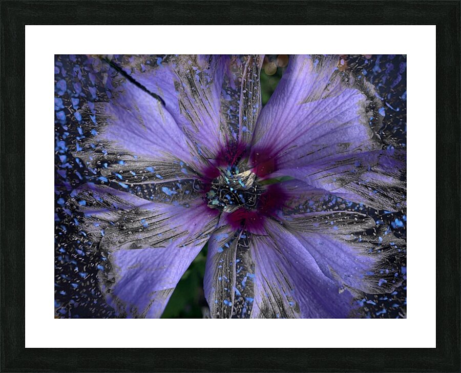 V1480 Picture Frame print