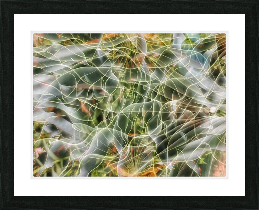 V1481 Picture Frame print