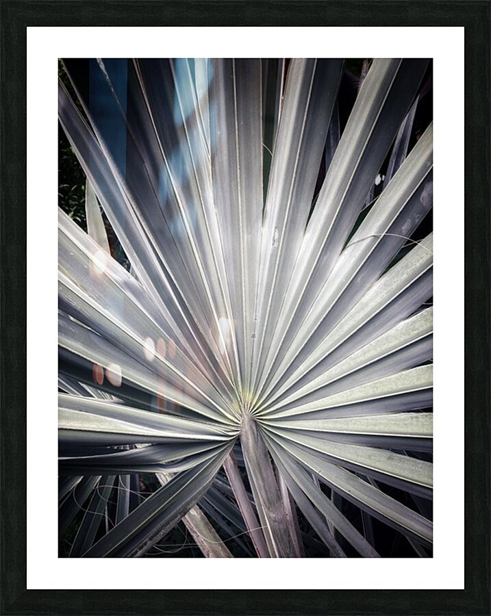 V1482 Picture Frame print