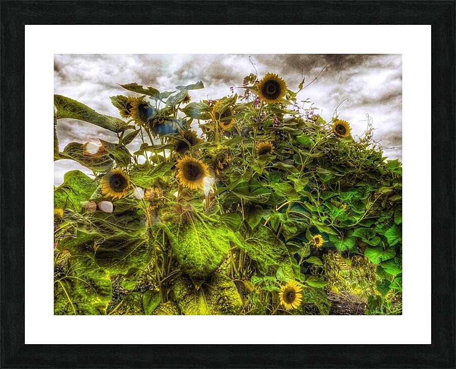 V1483 Picture Frame print