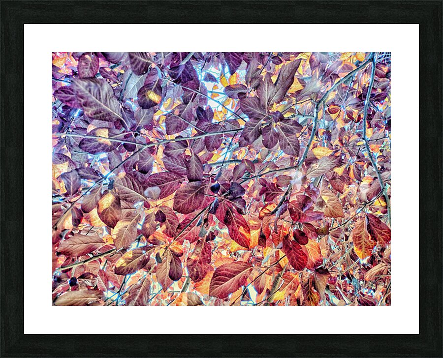 V1490 Picture Frame print