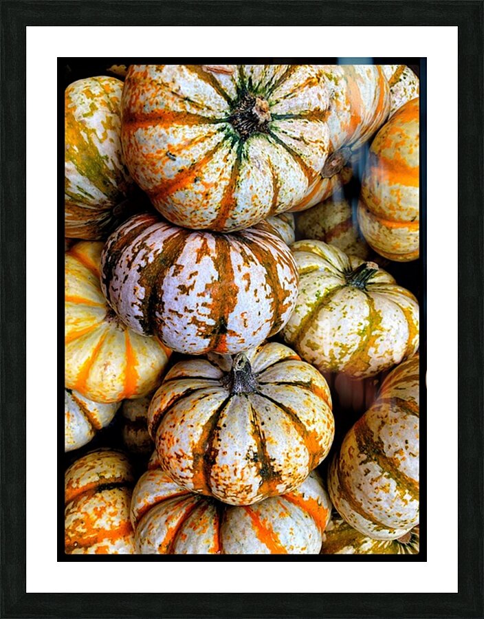V1492 Picture Frame print