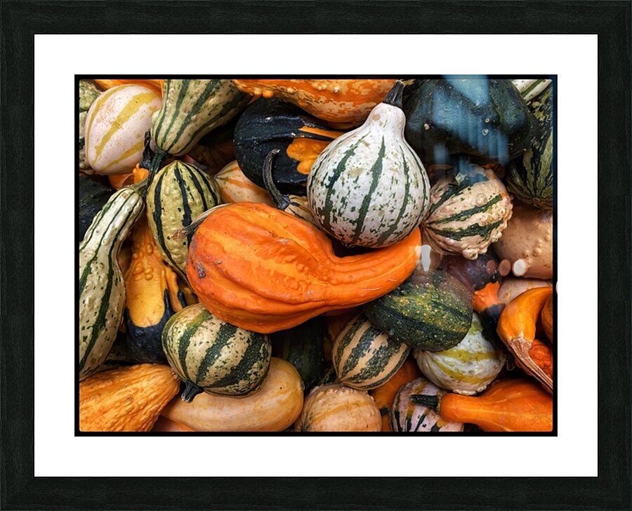 V1494 Picture Frame print