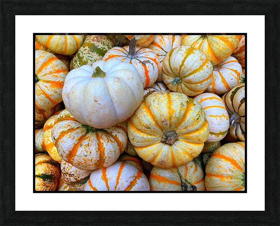 V1496 Picture Frame print