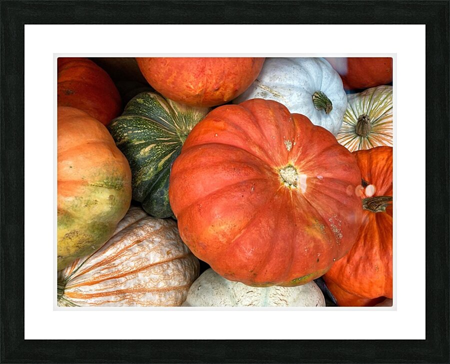 V1497 Picture Frame print