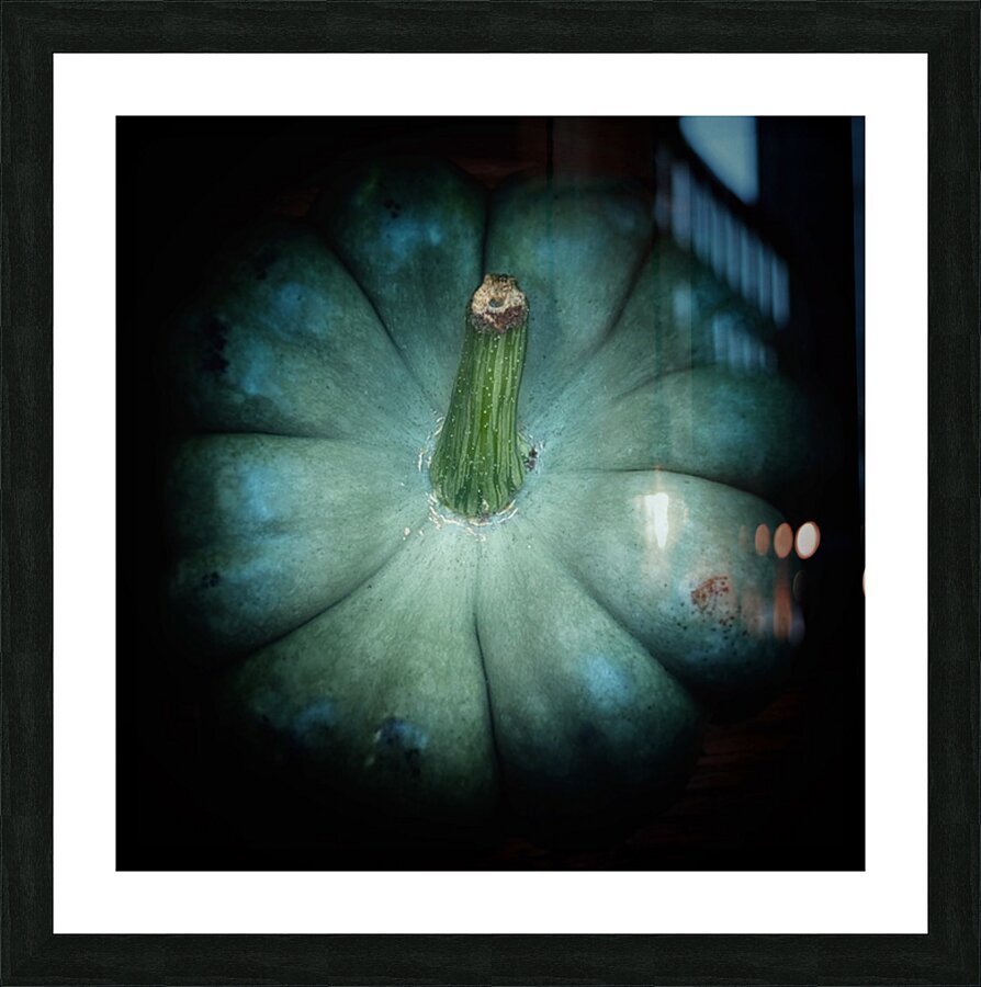 V1498 Picture Frame print