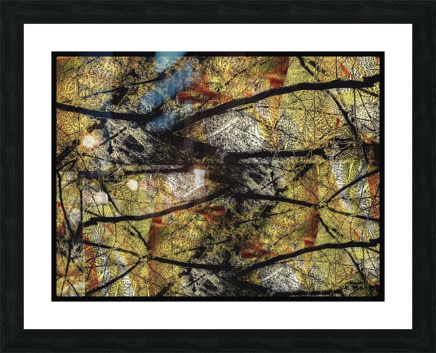 V1503 Picture Frame print