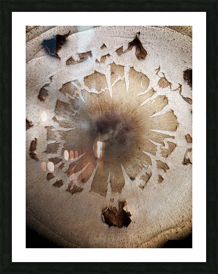 V1505 Picture Frame print