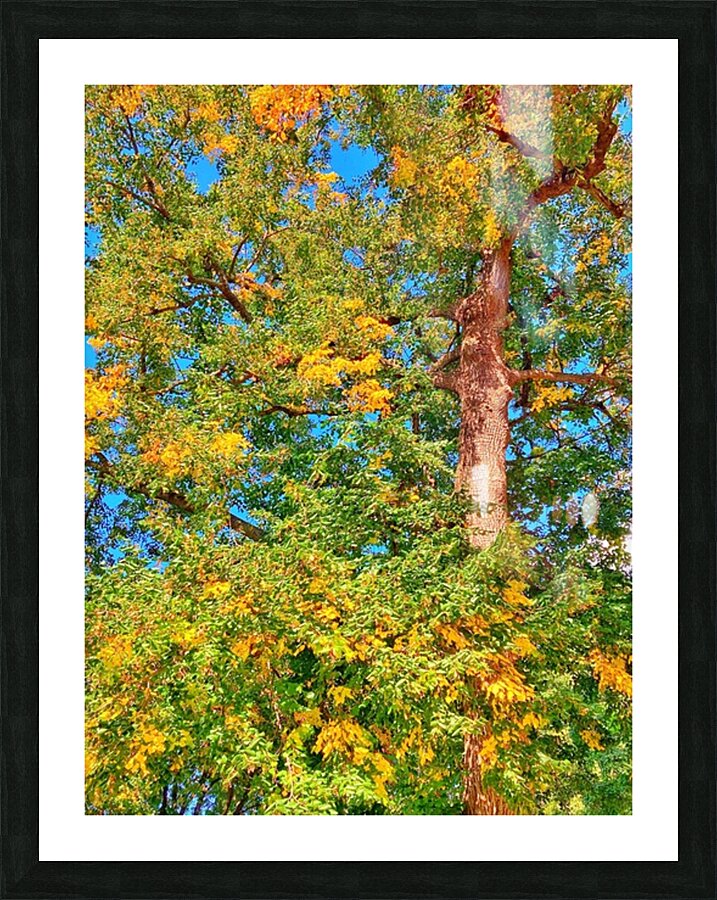V1506 Picture Frame print