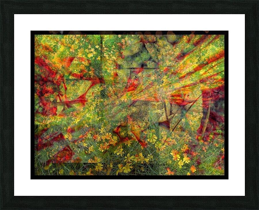 V1508 Picture Frame print