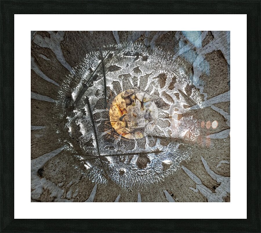 V1509 Picture Frame print