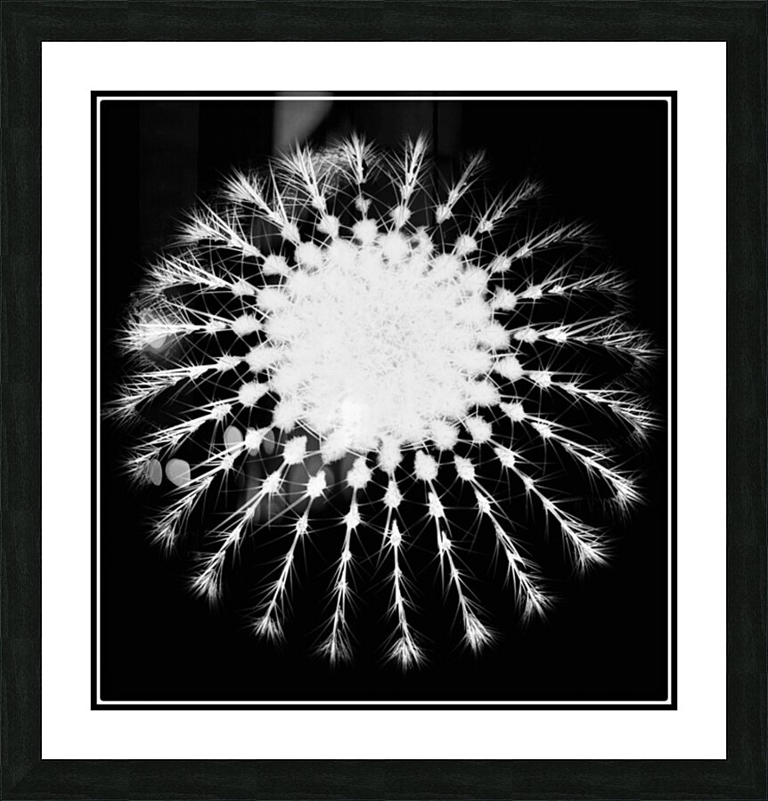 V1511 Picture Frame print