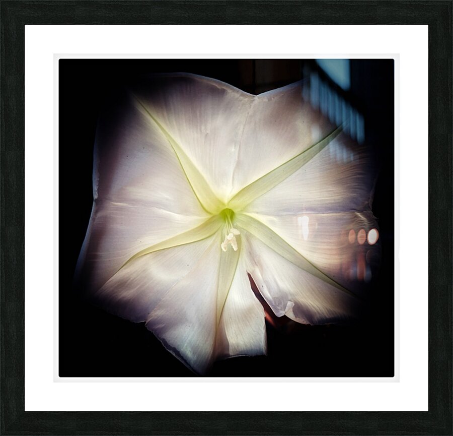 V1513 Picture Frame print