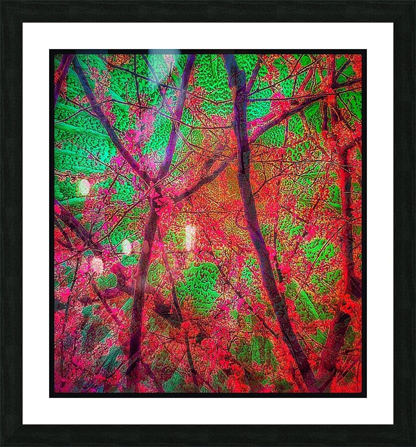 V1514 Picture Frame print