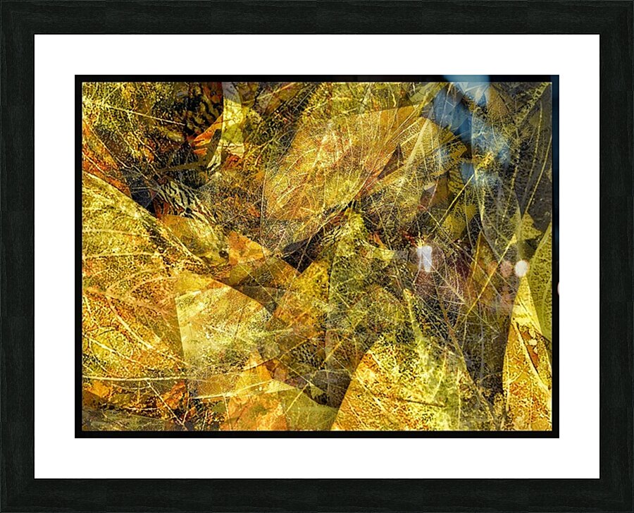 V1515 Picture Frame print