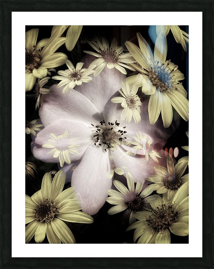 V1517 Picture Frame print