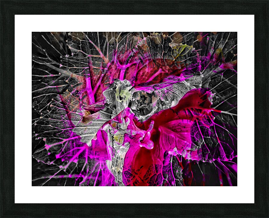 V1519 Picture Frame print