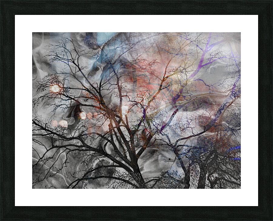 V1525 Picture Frame print