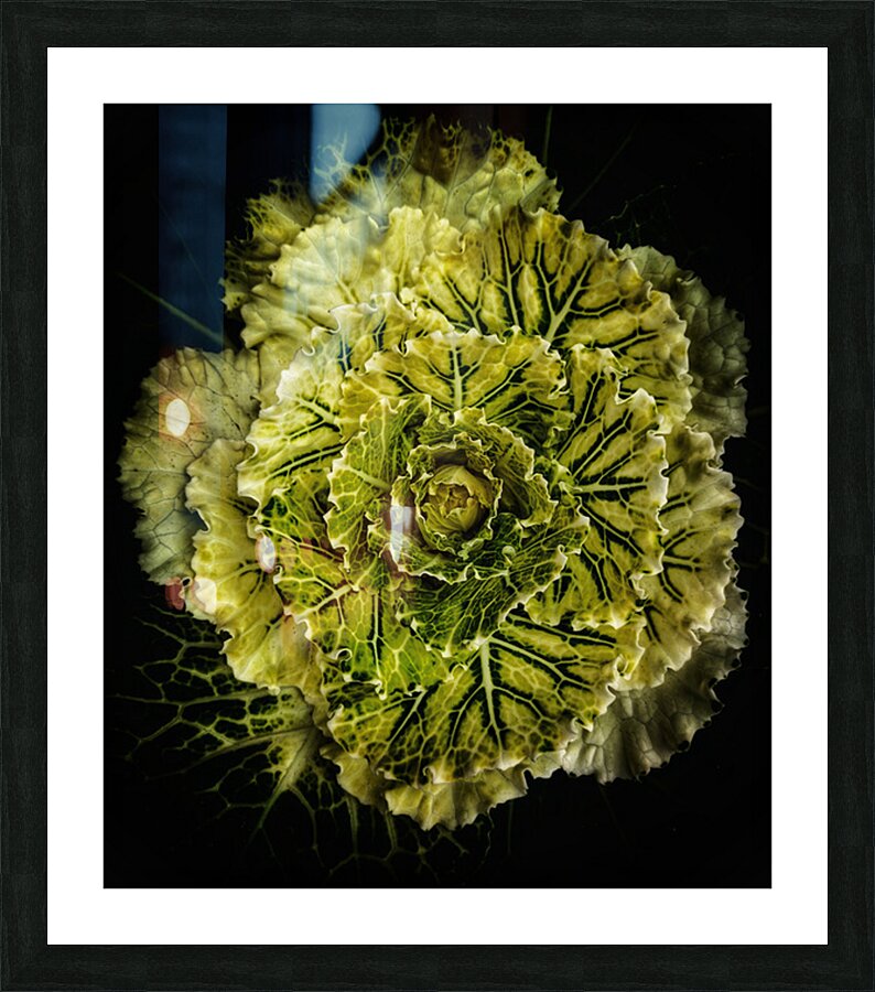 V1526 Picture Frame print