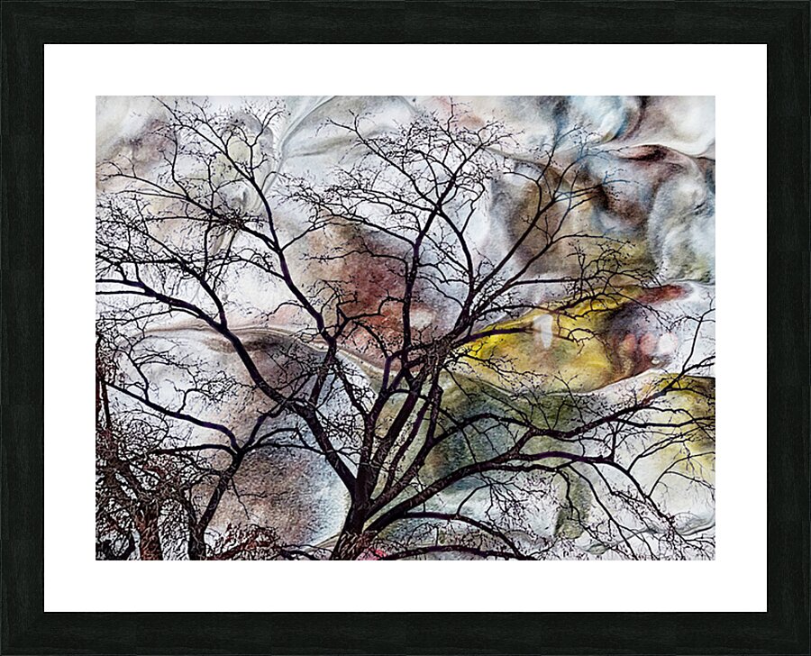 V1527 Picture Frame print