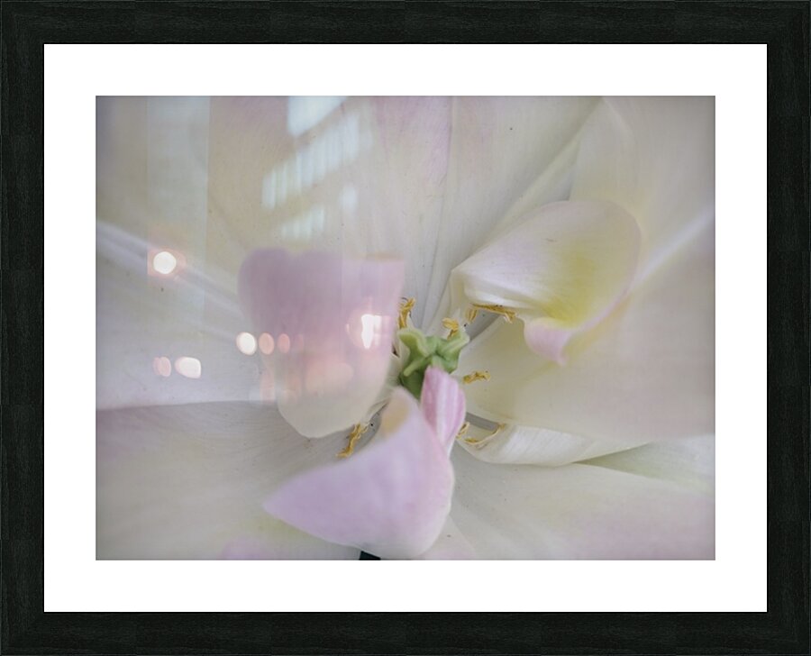 V1528 Picture Frame print