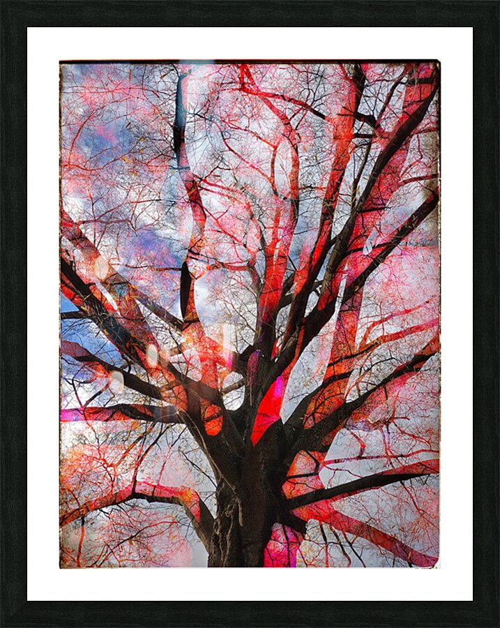 V1530 Picture Frame print