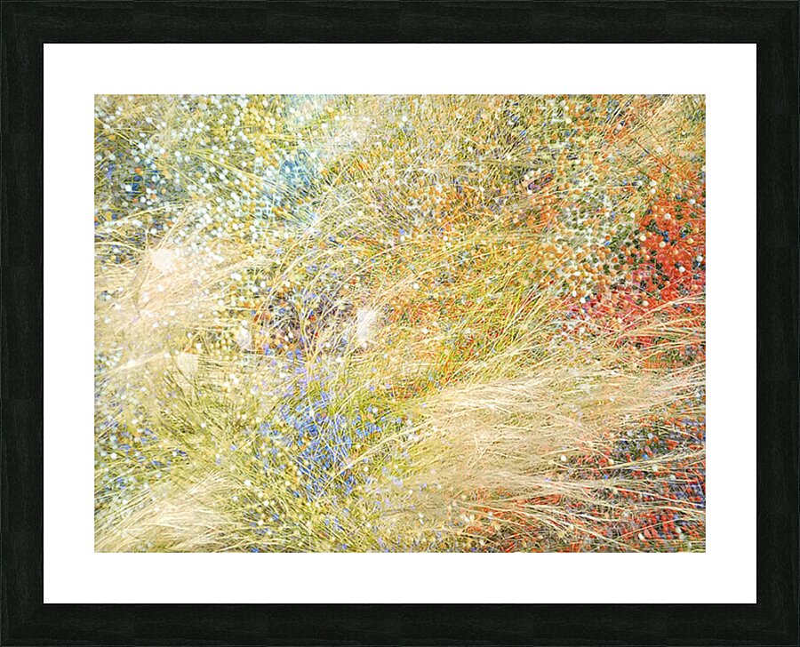 V1531 Picture Frame print