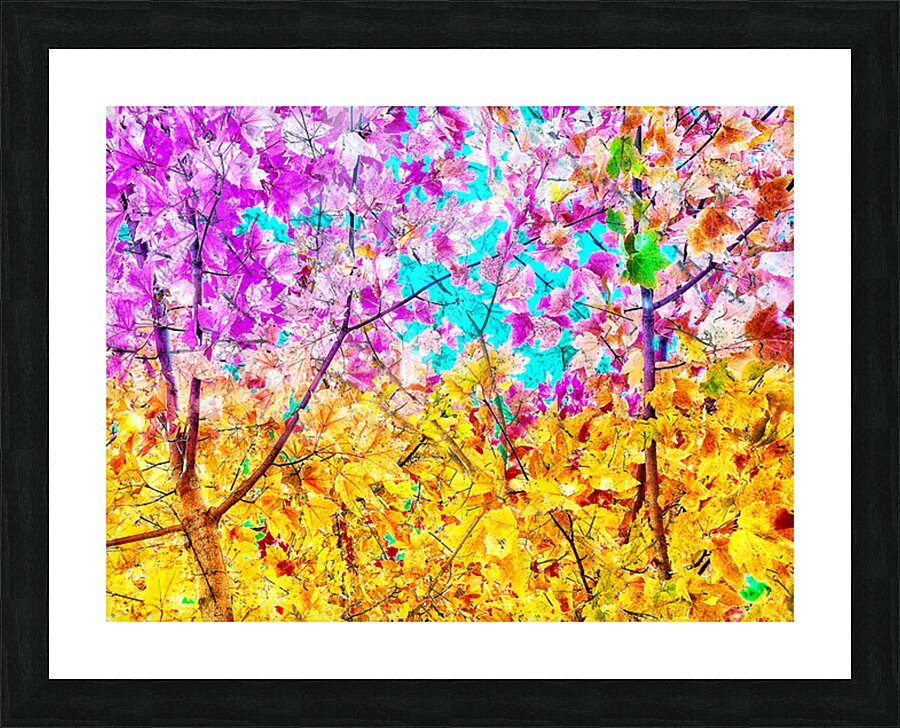 V1535 Picture Frame print