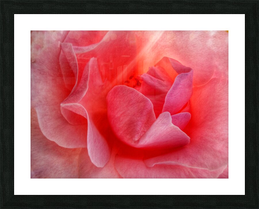 V1537 Picture Frame print