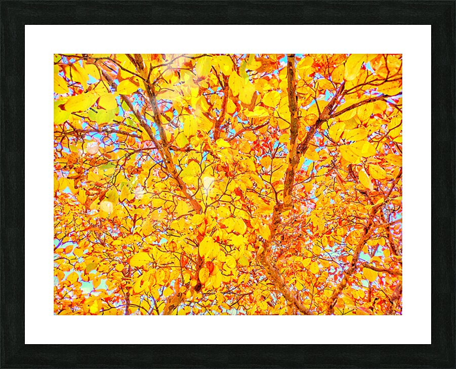 V1539 Picture Frame print