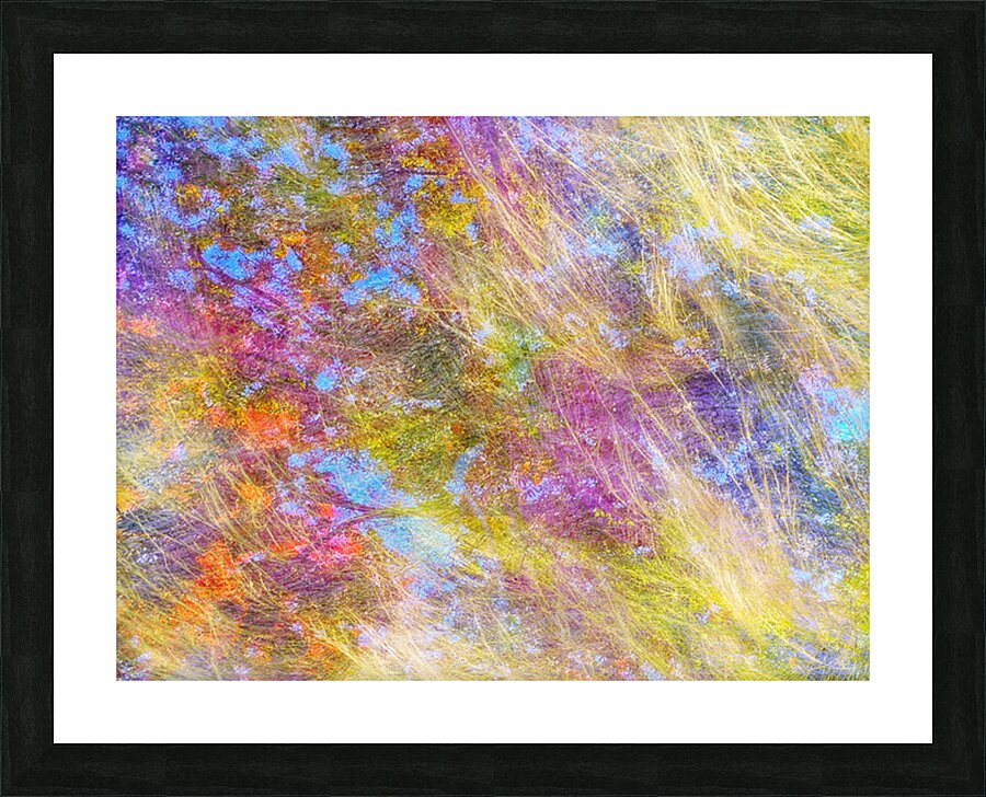 V1542 Picture Frame print