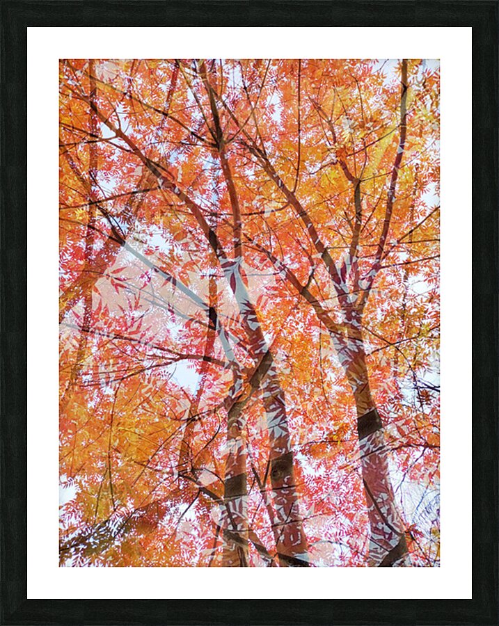 V1543 Picture Frame print