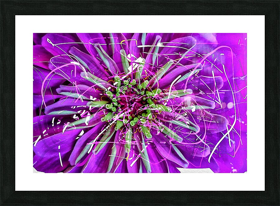 V1545 Picture Frame print