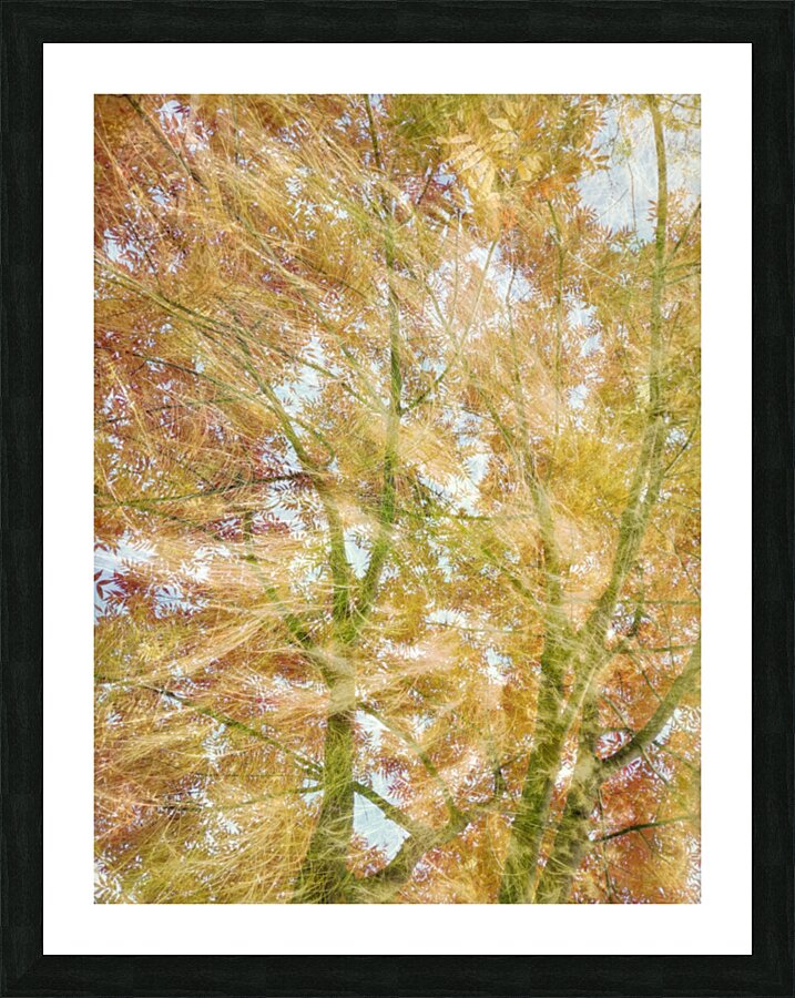 V1547 Picture Frame print