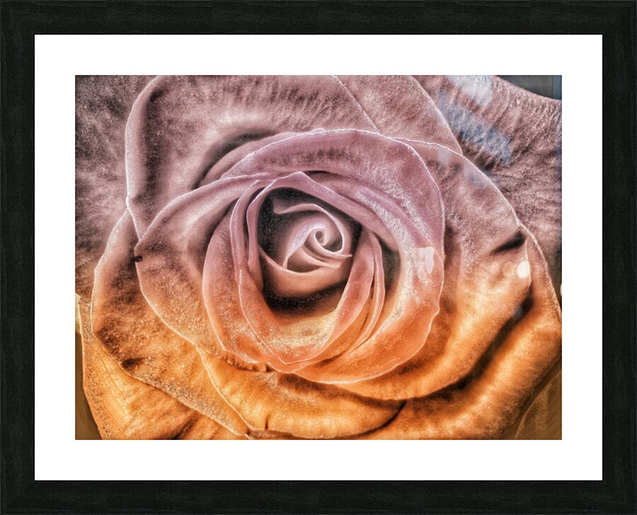 V1549 Picture Frame print