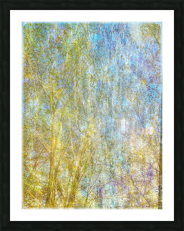 V1550 Picture Frame print