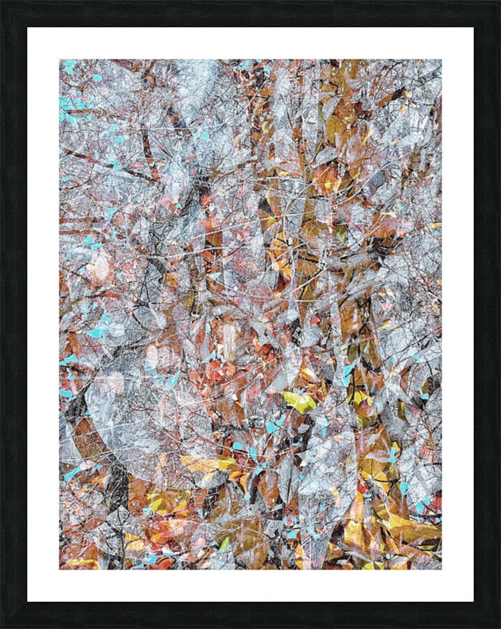 V1552 Picture Frame print