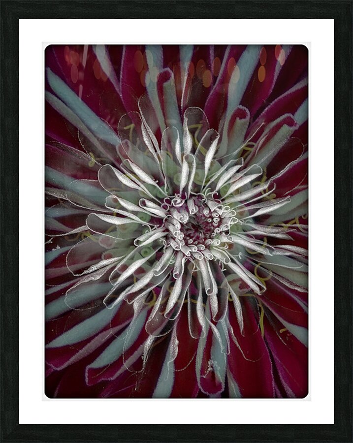 V1553 Picture Frame print
