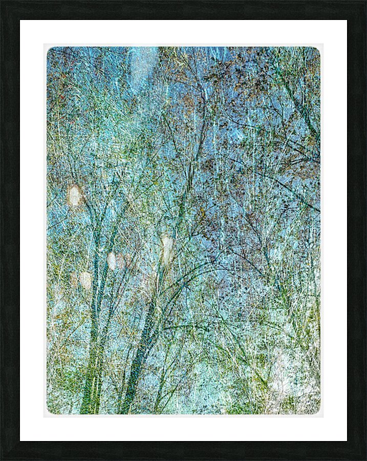 V1557 Picture Frame print