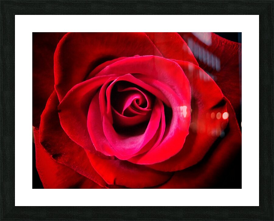 V1558 Picture Frame print