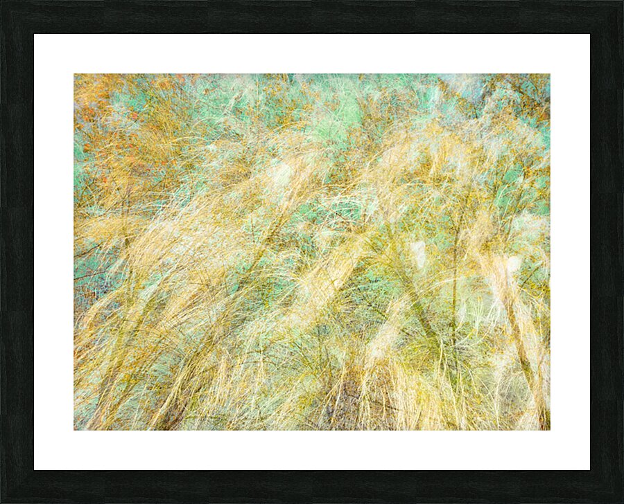 V1560 Picture Frame print