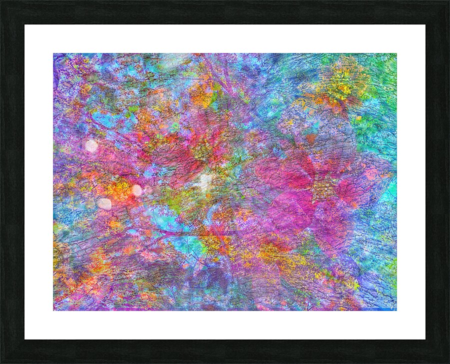 V1564 Picture Frame print