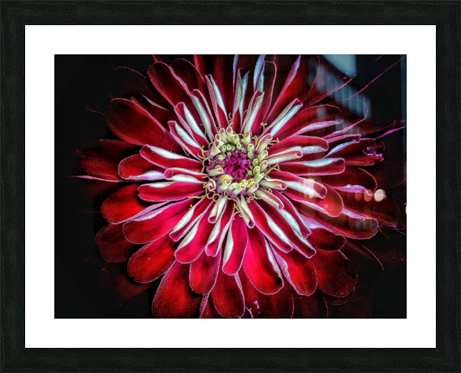 V1565 Picture Frame print