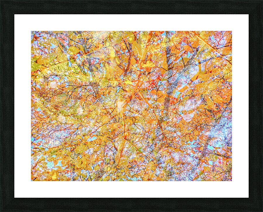 V1566 Picture Frame print