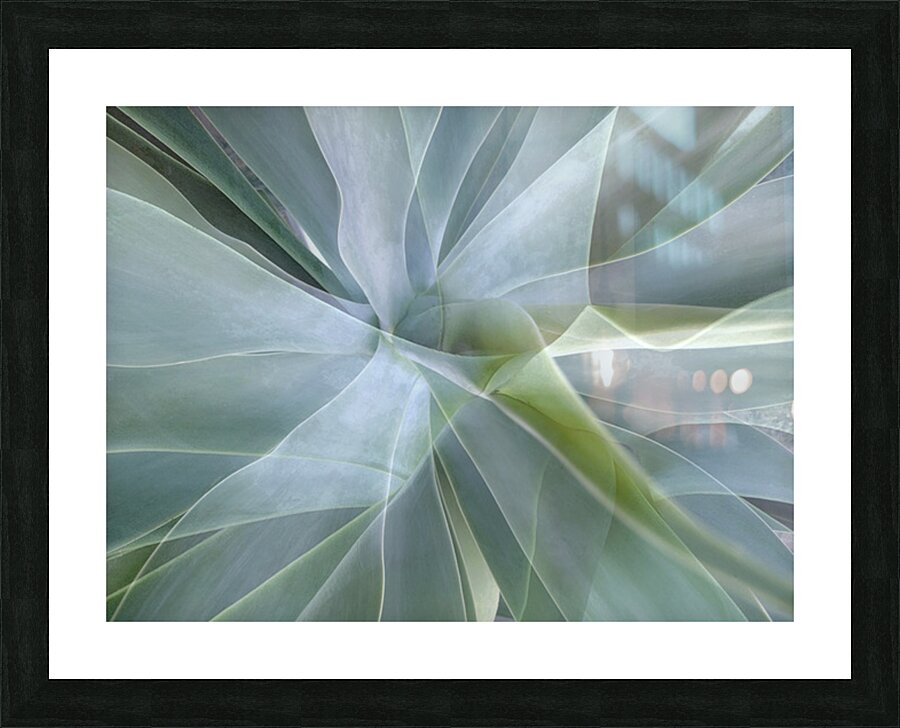 V1567 Picture Frame print