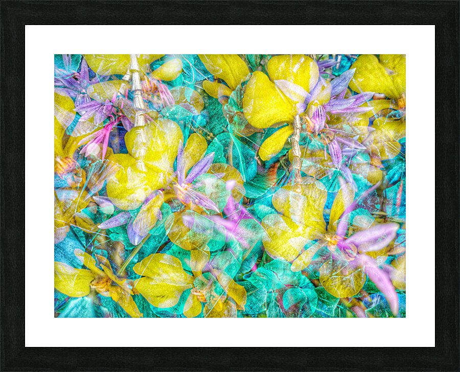 V1569 Picture Frame print